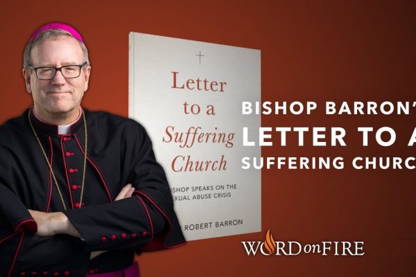 Bishop Barron’s Videos & Discussion Questions