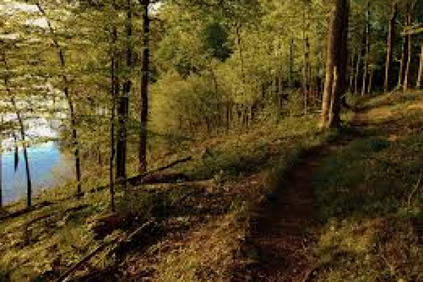 Young Adult Advent Hike – December 19